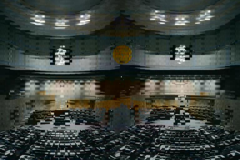 Councillors Debate Plan to Introduce Wildflower Verges on City Roads